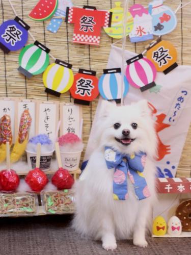 20240730ゆずちゃん